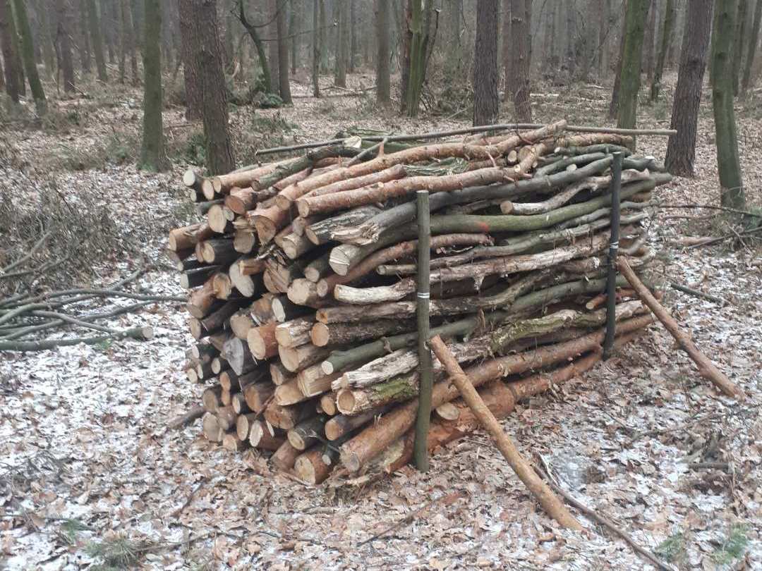 Zaopatrz się w tańsze drewno na zimę!